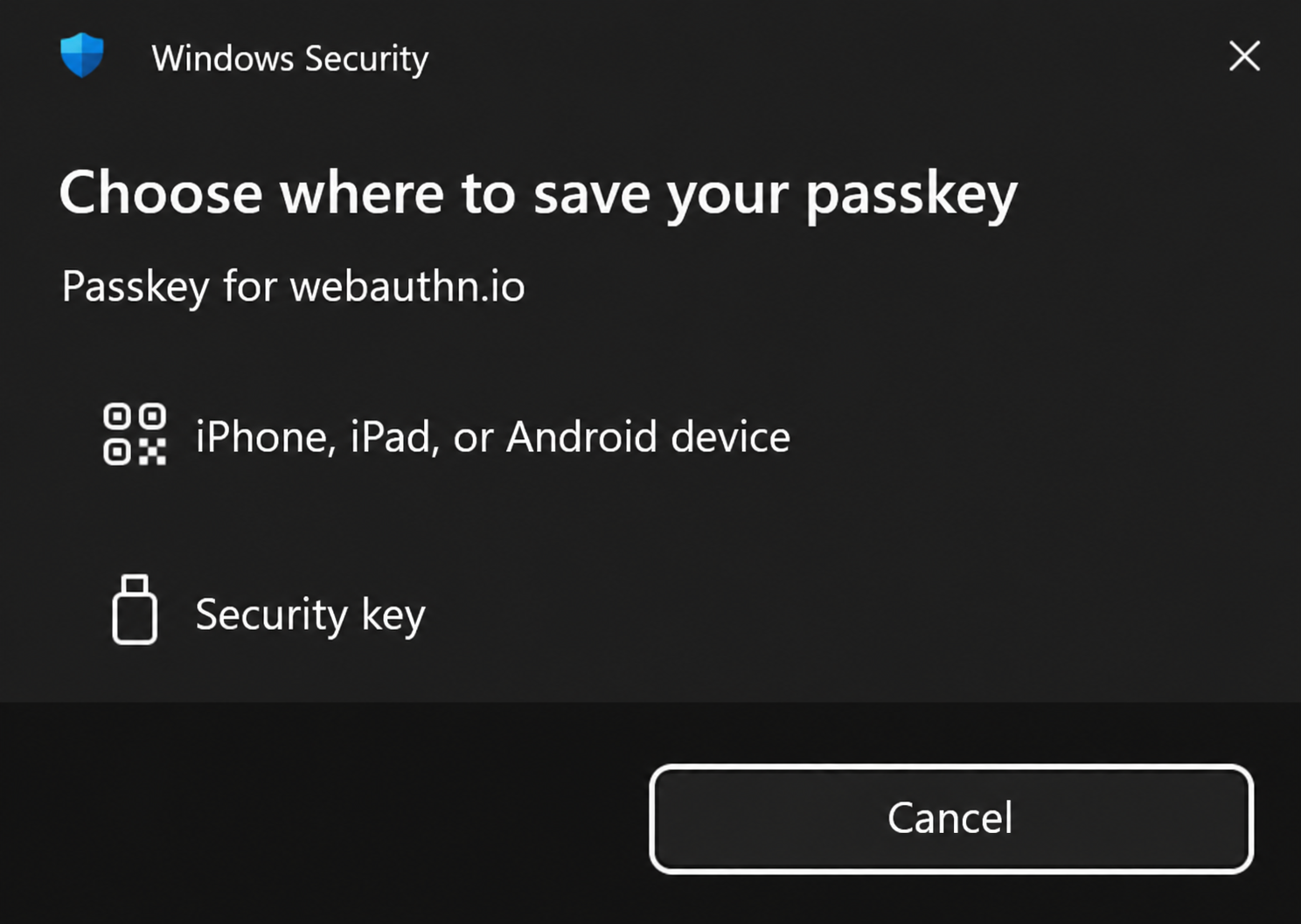 Figure 2. Choose the external Security key option.